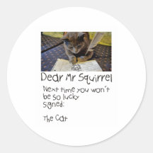 De KAT stuurt een bericht naar Squirrel
