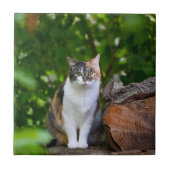 De Kat   Tegeltje (Voorkant)