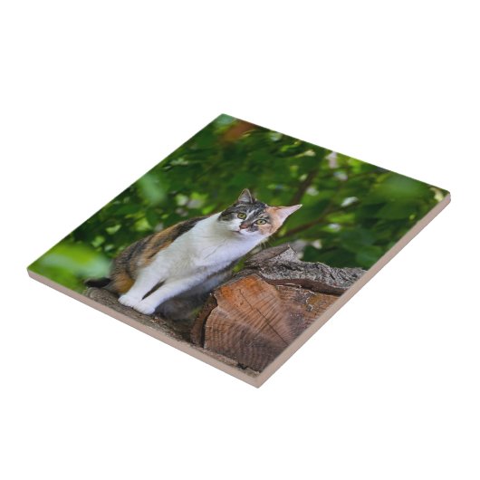 De Kat   Tegeltje (Zijkant)