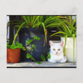 De Kat Tussen de Planten Briefkaart (Voorkant)