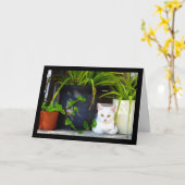De Kat Tussen de Planten Kaart (Gele Bloem)