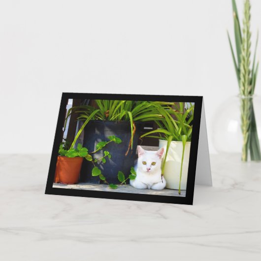 De Kat Tussen de Planten Kaart (Voorkant)