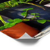 De Kat Tussen de Planten Poster (Hoek)