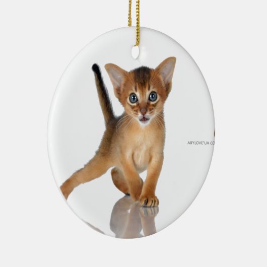De kat van Abyssinian Keramisch Ornament (Rechts)