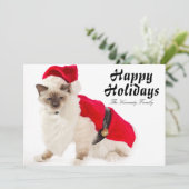 De Kat van Birman in het Kostuum van de Kerstman Feestdagenkaart (Staand voorkant)