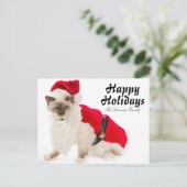 De Kat van Birman in het Kostuum van de Kerstman Feestdagenkaart (Staand voorkant)