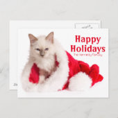 De Kat van Birman in het Pet van de Kerstman Feestdagenkaart (Voorkant / Achterkant)