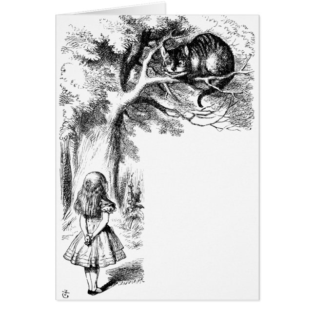 De kat van Cheshire (Voorkant)