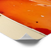 De kat van de alchemist poster (Hoek)