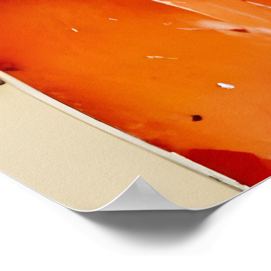 De kat van de alchemist poster (Hoek)