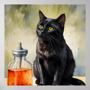 De kat van de alchemist poster
