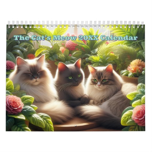 De kat van de bovenste plank kalender (Hoes)