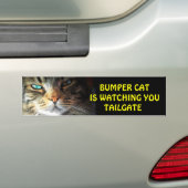 De Kat van de bumper let op LAADKLEP 2 Bumpersticker (Op auto)