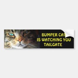 De Kat van de bumper let op LAADKLEP 2 Bumpersticker