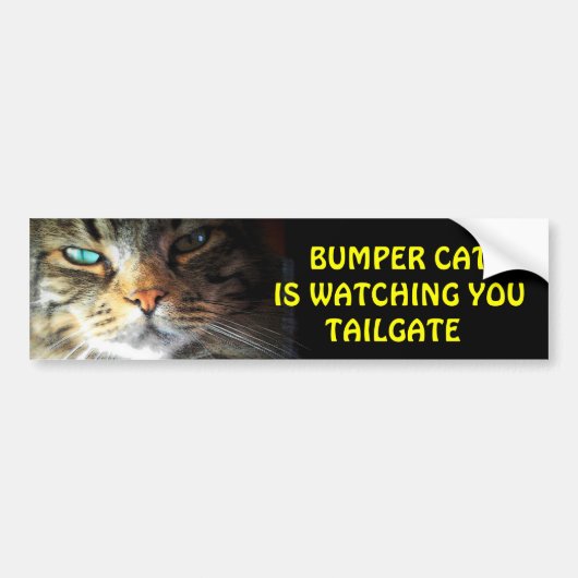 De Kat van de bumper let op LAADKLEP 2 Bumpersticker (Voorkant)
