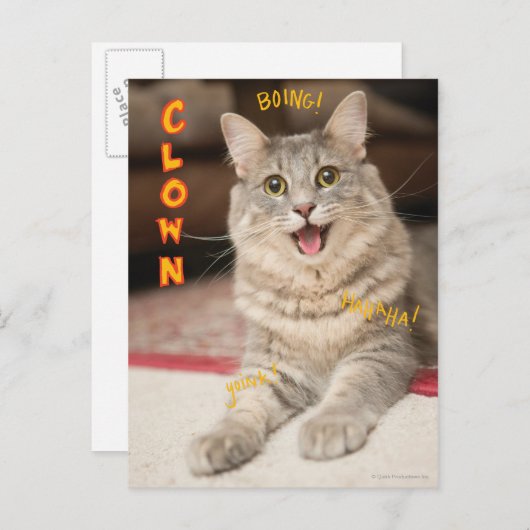 De Kat van de clown Briefkaart (Voorkant / Achterkant)