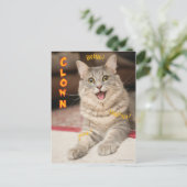 De Kat van de clown Briefkaart (Staand voorkant)