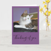 De kat van de gestreepte kat het denken aan u kaart (Gele Bloem)