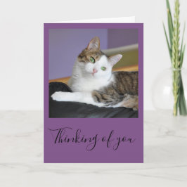 De kat van de gestreepte kat het denken aan u kaart