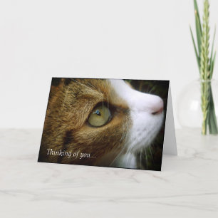 De Kat van de gestreepte kat - het Denken aan u Kaart