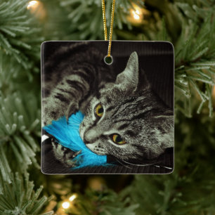 De Kat van de gestreepte kat met Veer door Shirley Keramisch Ornament
