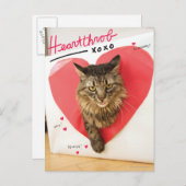 De Kat van de hartslag Briefkaart (Voorkant / Achterkant)