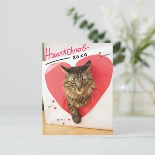 De Kat van de hartslag Briefkaart (Staand voorkant)