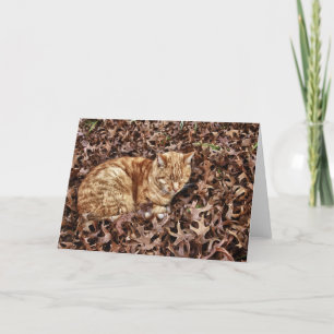De Kat van de herfst Kaart