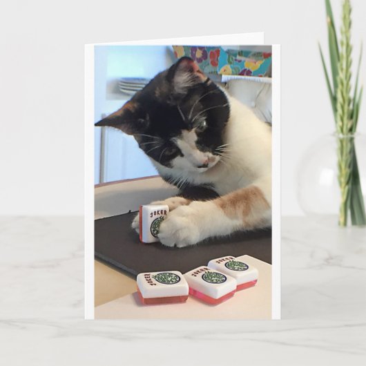 De Kat van de Joker van Jongg Notecard van Mah Kaart (Voorkant)