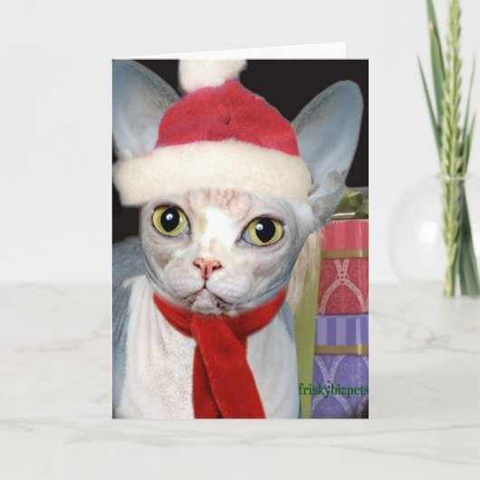 De Kat van de Kerstman van Sphynx Feestdagen Kaart (Voorkant)