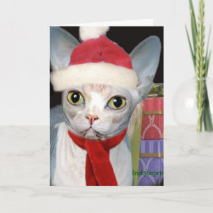 De Kat van de Kerstman van Sphynx Feestdagen Kaart