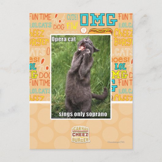 De Kat van de opera Briefkaart (Voorkant)