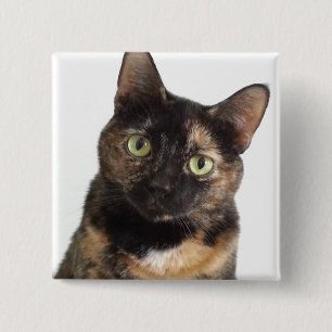 De Kat van de schildpad Vierkante Button 5,1 Cm