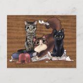 De kat van de schrijver briefkaart (Voorkant)