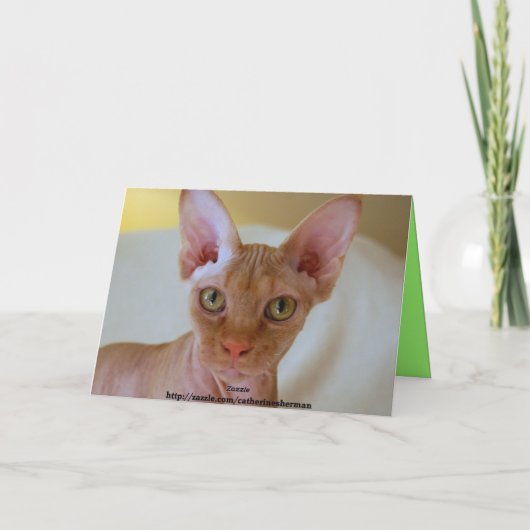 De Kat van de Sfinx van Kerstmis van Meowy Feestdagen Kaart (Achterkant)