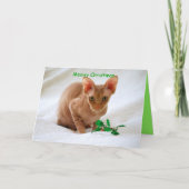 De Kat van de Sfinx van Kerstmis van Meowy Feestdagen Kaart (Voorkant)