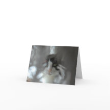 De Kat van de smoking door takken