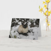 De Kat van de sneeuw Kaart (Gele Bloem)