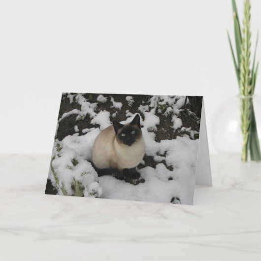 De Kat van de sneeuw Kaart (Voorkant)