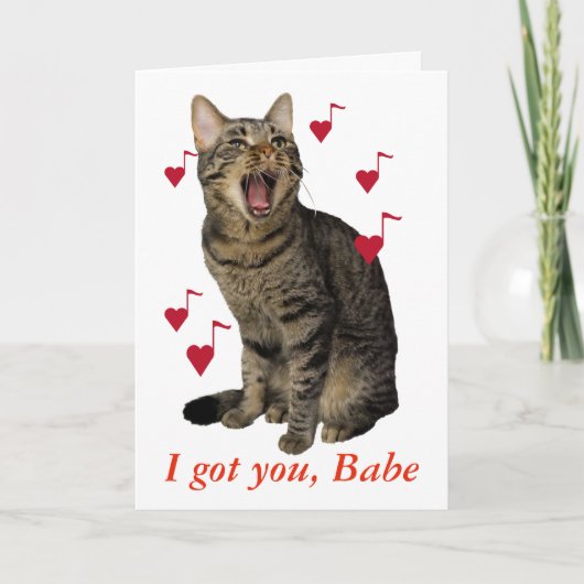 De kat van de Valentijnsdag het zingen Feestdagen Kaart (Voorkant)