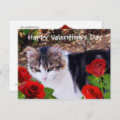 DE KAT VAN DE VALENTIJNSDAG MET RODE ROZEN FEESTDAGENKAART (Voorkant / Achterkant)