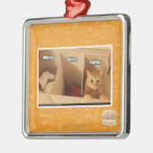 De Kat van de wasserij Metalen Ornament (Links)