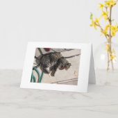De Kat van de zon Kaart (Gele Bloem)