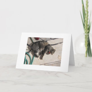 De Kat van de zon Kaart