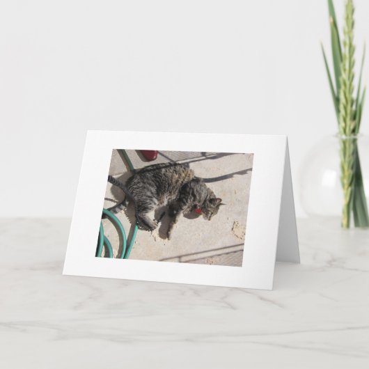 De Kat van de zon Kaart (Voorkant)