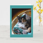 De kat van het calico in een van de mandgroet of kaart (Gele Bloem)