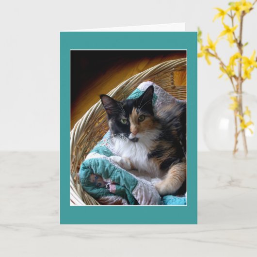 De kat van het calico in een van de mandgroet of kaart (Gele Bloem)