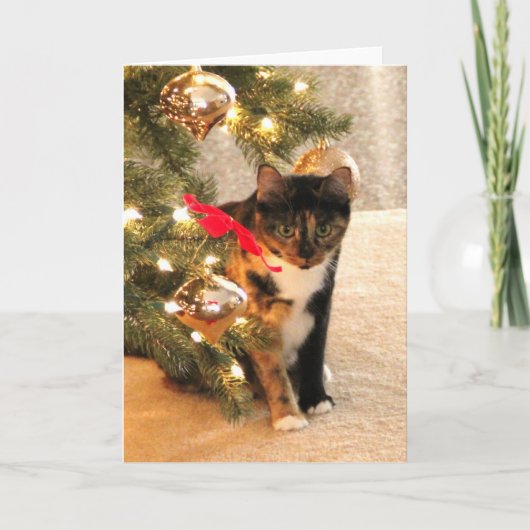 De Kat van het calico onder de Kerstboom, spatie Feestdagen Kaart (Voorkant)