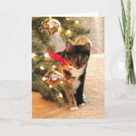 De Kat van het calico onder de Kerstboom, spatie Feestdagen Kaart