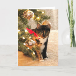 De Kat van het calico onder de Kerstboom, spatie Feestdagen Kaart